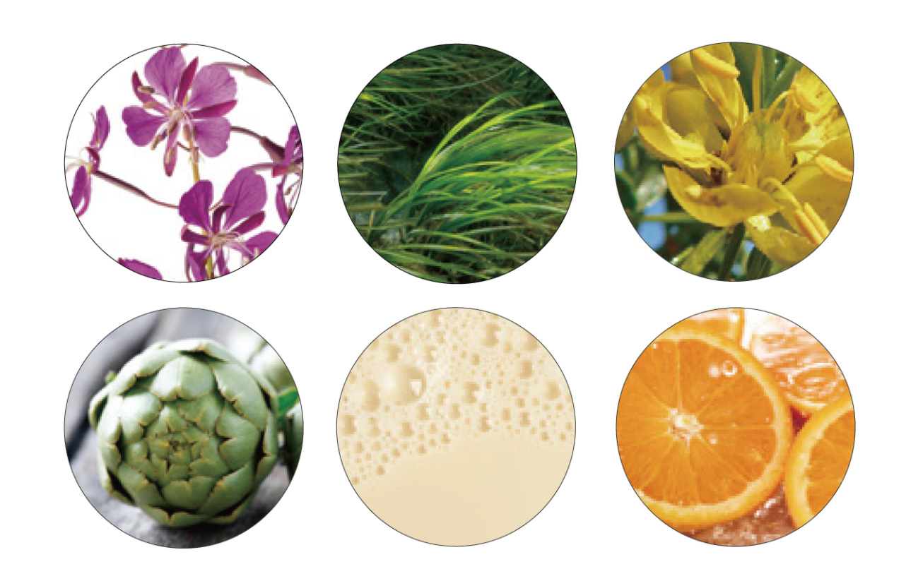 Hair inhibitor Pineapple Soy Milk Lotion mens