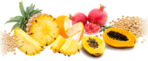 Hair inhibitor Pineapple Soy Milk Lotion Premium