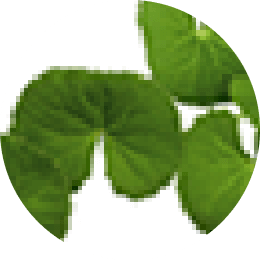 Centella asiatica extract