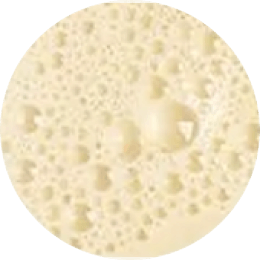 Soybean milk culture filtrate