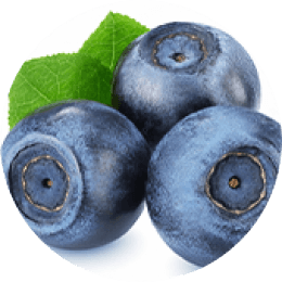 Bilberry