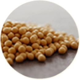 Soybean extract
